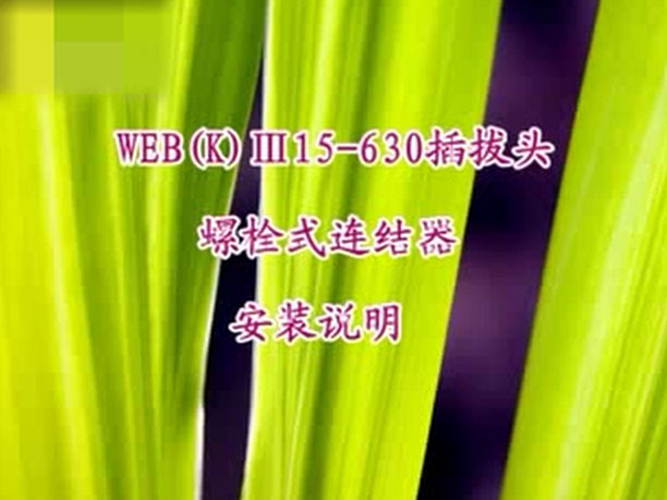 10kv欧式插拔头安装视频